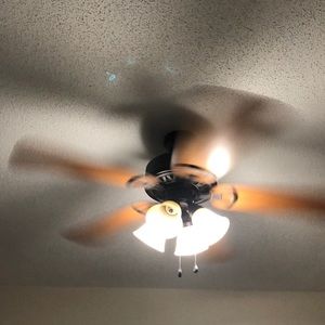 Meet your Posher, Yara